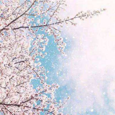 4949澳门免费资料大全