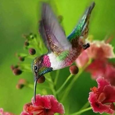 Kaiyun(云开)体育App下载手机版