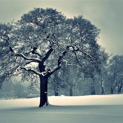 Kaiyun(云开)体育App下载手机版