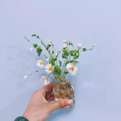 狗万manbet手机app下载